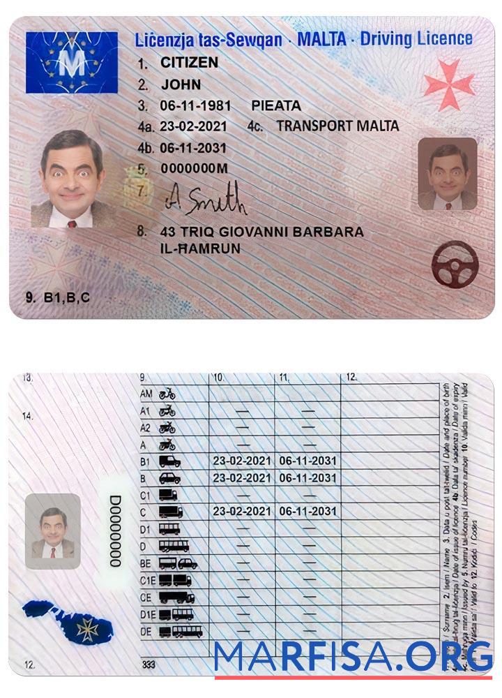 Realistic Malta driving license sample